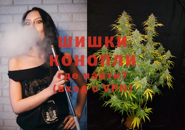 ГАЛЛЮЦИНОГЕННЫЕ ГРИБЫ Надым
