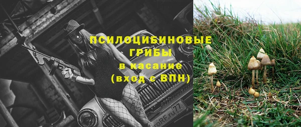 бошки Нефтегорск