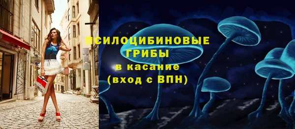 ПСИЛОЦИБИНОВЫЕ ГРИБЫ Нефтекумск