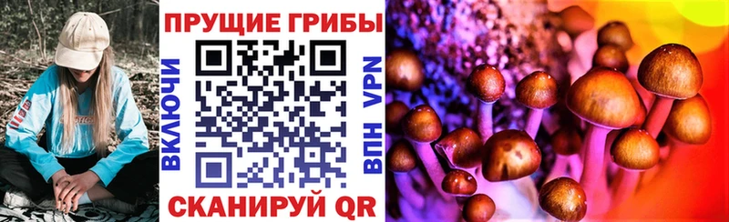 Галлюциногенные грибы прущие грибы  OMG ссылка  Кизилюрт 