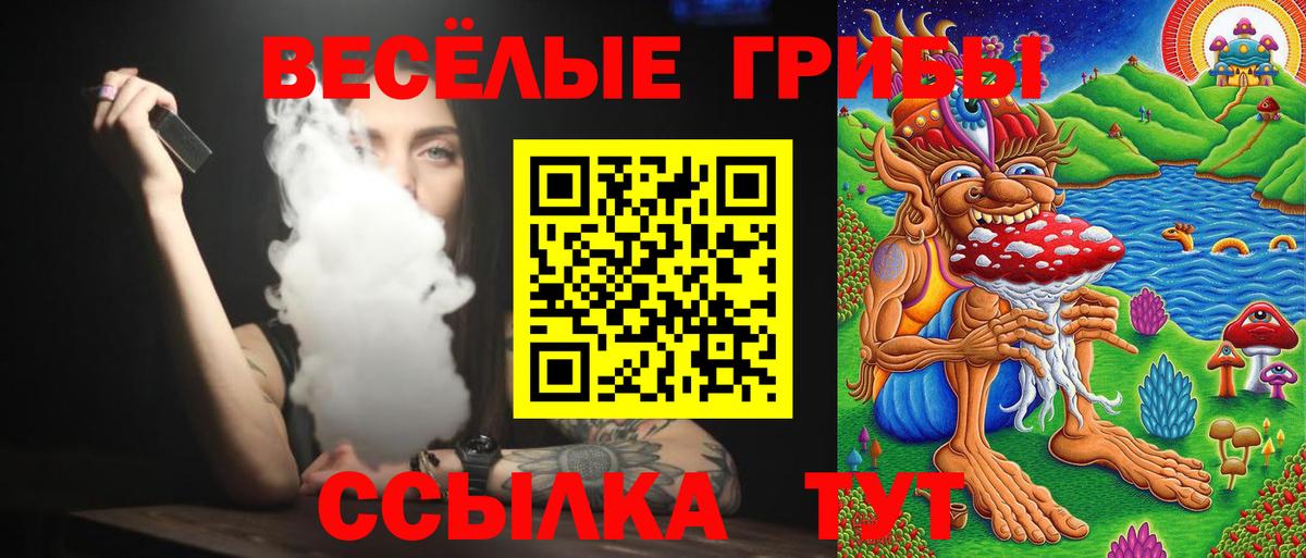 продажа наркотиков  Псилоцибиновые грибы ЛСД  Вход с VPN  Кизилюрт 