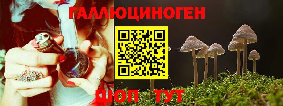 Галлюциногенные грибы GOLDEN TEACHER  дарнет шоп  Кизилюрт 